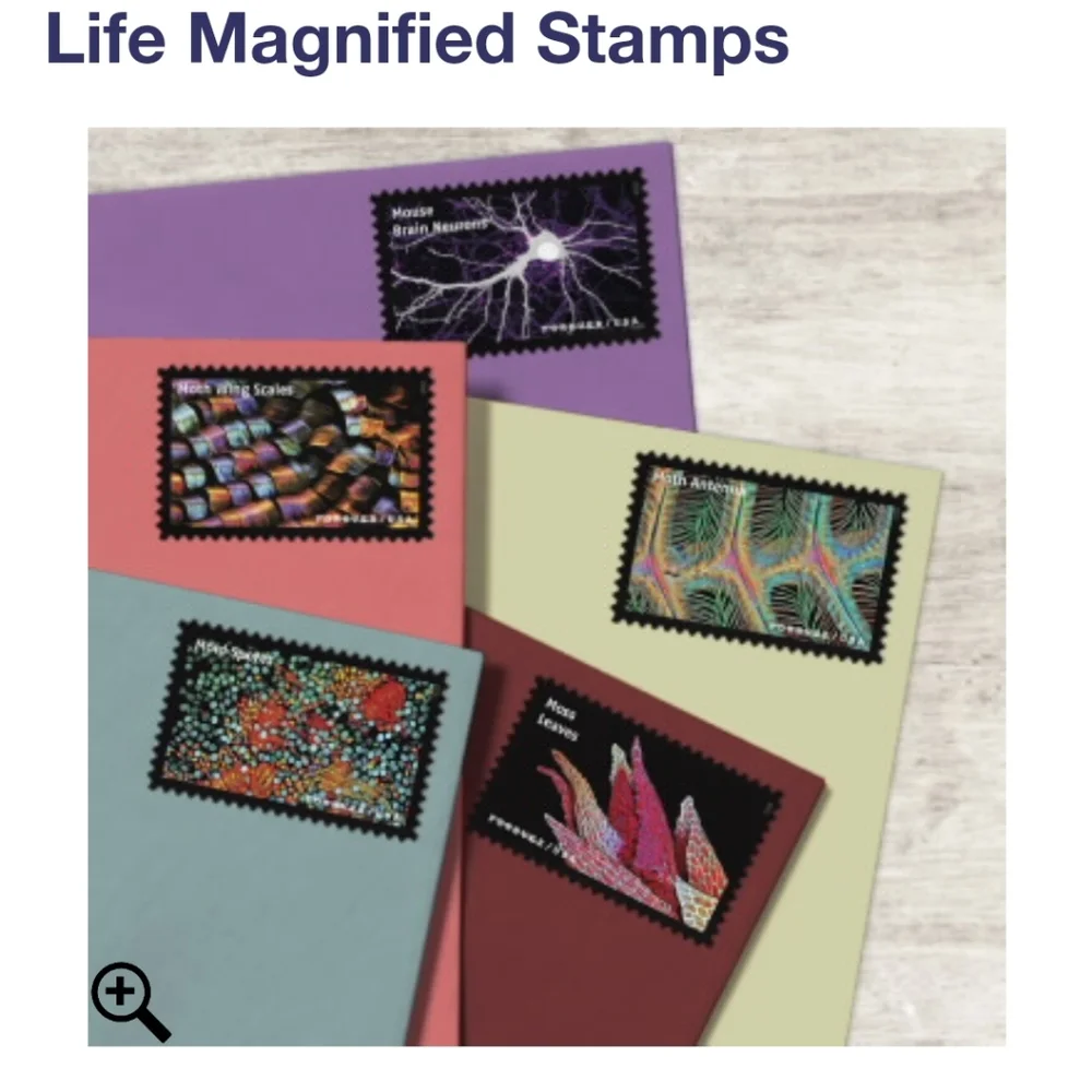 100 Life Magnified 2023 Forever Postage Stamps US Postal USPS Wedding Invitation